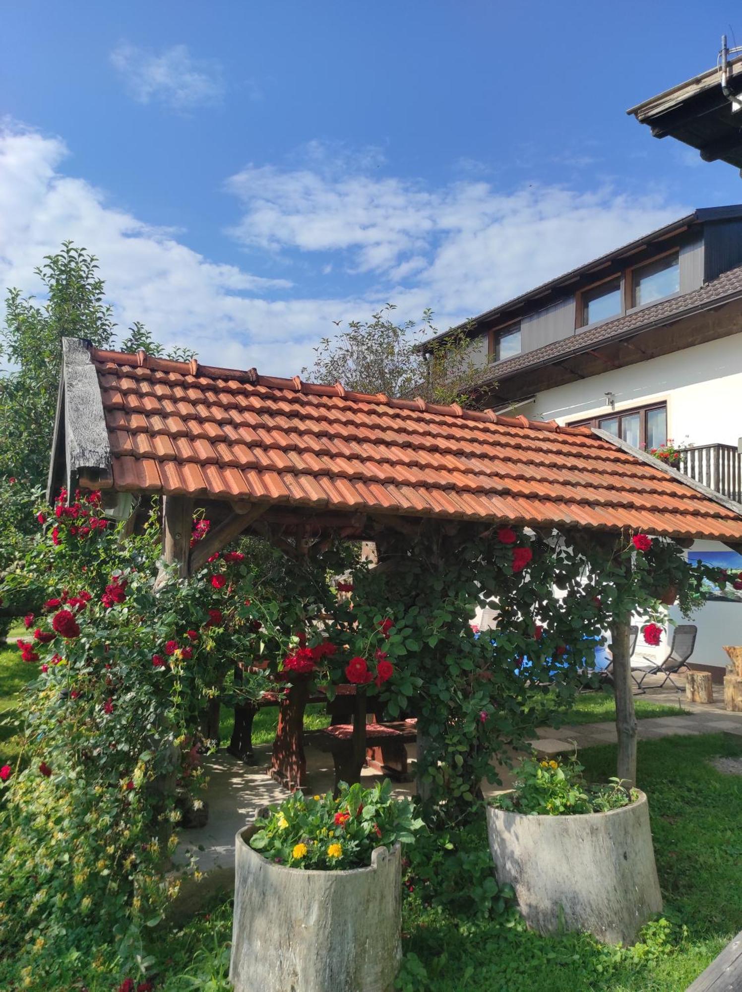 Apartman Leona Раковица Экстерьер фото